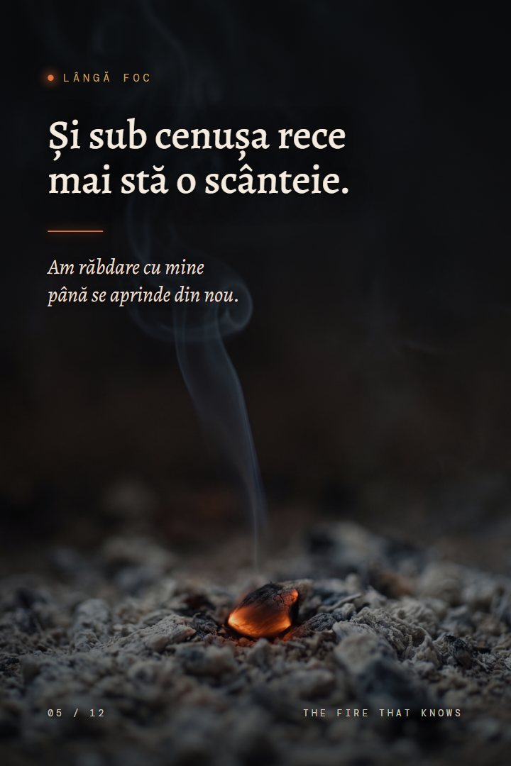 Print Lângă foc: Și sub cenușa rece mai stă o scânteie. Am răbdare cu mine până se aprinde din nou.